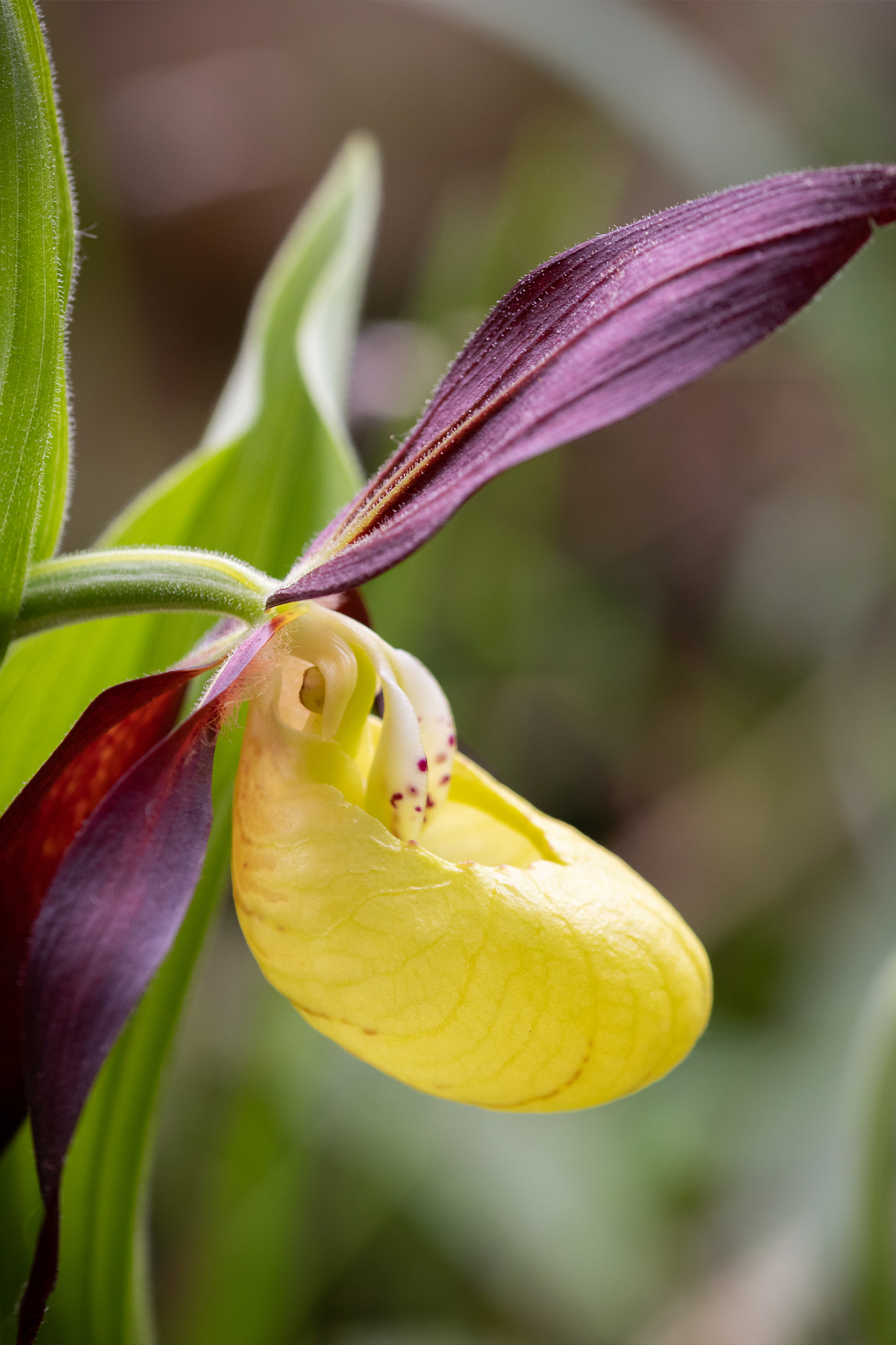 pixelarts by Karina Hechtl